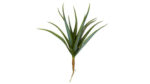 Speedtsberg Aloe vera grein 43cm