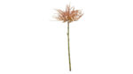 Speedtsberg Krysanrhemum grein 55cm