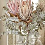Speedtsberg Protea grein, 2 mismunandi 72cm - Image 3