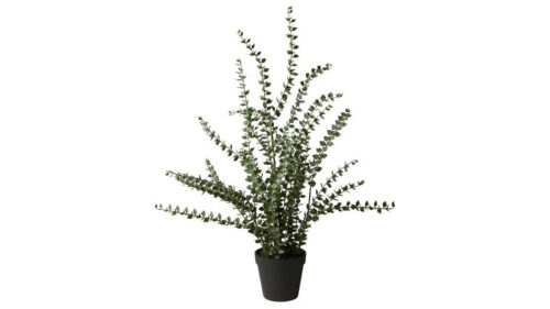 Speedtsberg pottaplanta 72cm