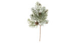 Speedtsberg Pinecone grein