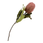 House Nordic King protea blómvöndur H 74cm - Image 2