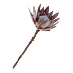 House Nordic King protea blómvöndur H 74cm - Image 4