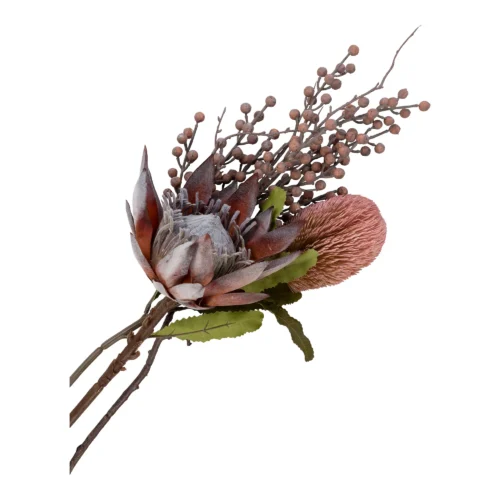 House Nordic King protea blómvöndur H 74cm