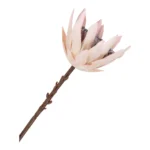 House Nordic King protea blómvöndur H65cm - Image 4