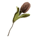 House Nordic King protea blómvöndur H65cm - Image 2