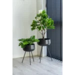 House Nordic monstera í botti H:45cm - Image 2