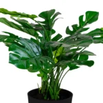 House Nordic monstera í botti H:45cm - Image 5