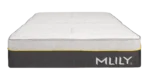 MLILY Premier heilsudýna 90x200