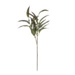 Speedtsberg Eucalyptus grein 70cm