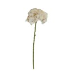 Speedtsberg Hydrangea grein beige 65cm