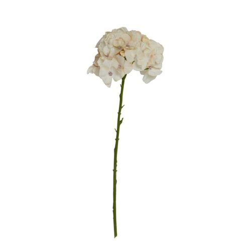 Speedtsberg Hydrangea grein beige 65cm