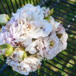 Speedtsberg Hydrangea grein rose 65cm - Image 2