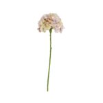 Speedtsberg Hydrangea grein rose 65cm