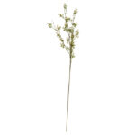 Speedtsberg berjagrein hvít/græn 82cm