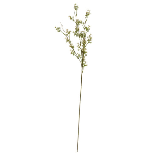 Speedtsberg berjagrein hvít/græn 82cm