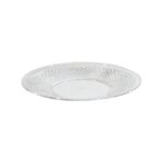 Speedtsberg plastdiskur