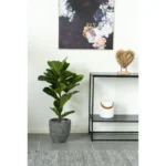 House Nordic Fiddle planta - Image 4