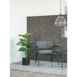 House Nordic Monstera í potti - Image 3