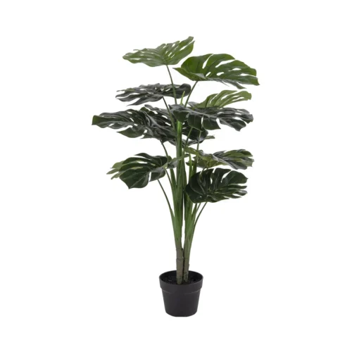 House Nordic Monstera í potti
