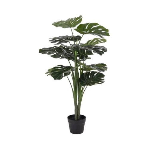 House Nordic Monstera í potti