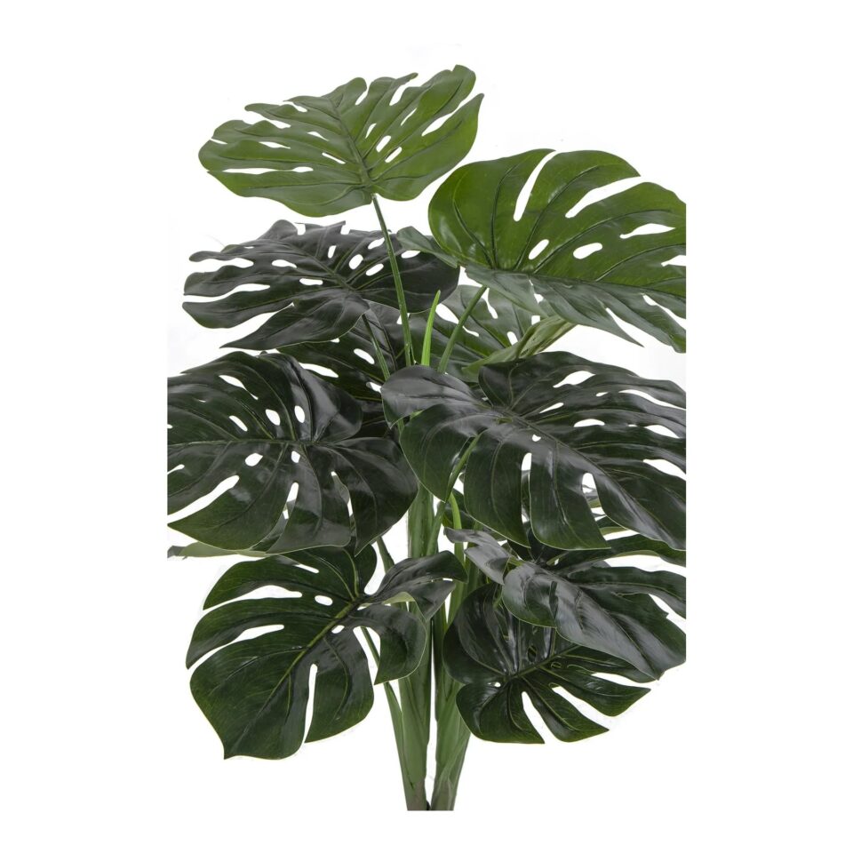 House Nordic Monstera í potti - Image 3