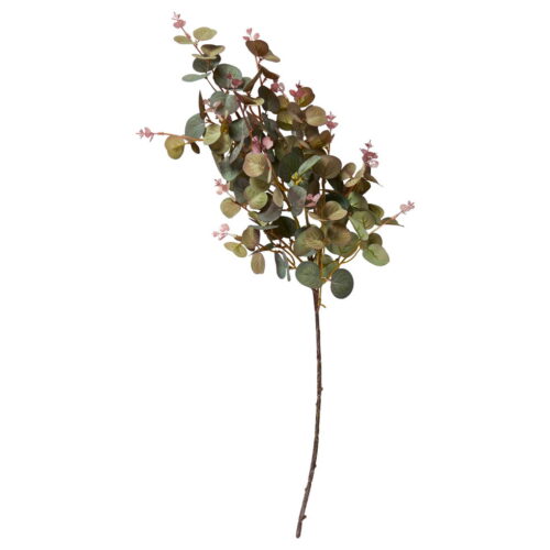 Speedtsberg Eucalyptus grein 70cm