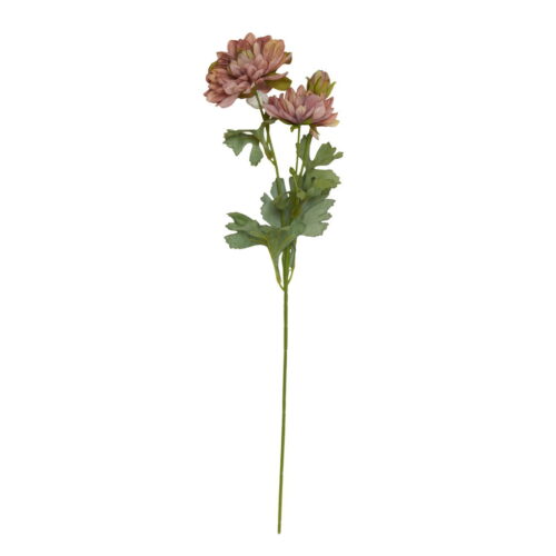 Speedtsberg Georgine blóm bleikt 53cm