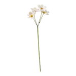 Speedtsberg cosmos grein 45cm ljósbleik