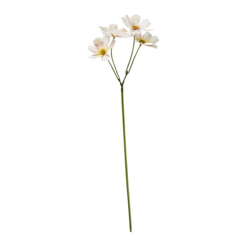 Speedtsberg cosmos grein 45cm ljósbleik