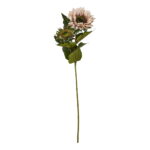Speedtsberg sólblóm 56cm