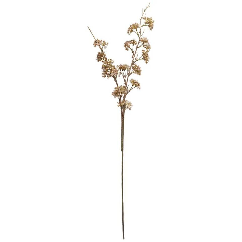 Speedtsberg grein 90cm
