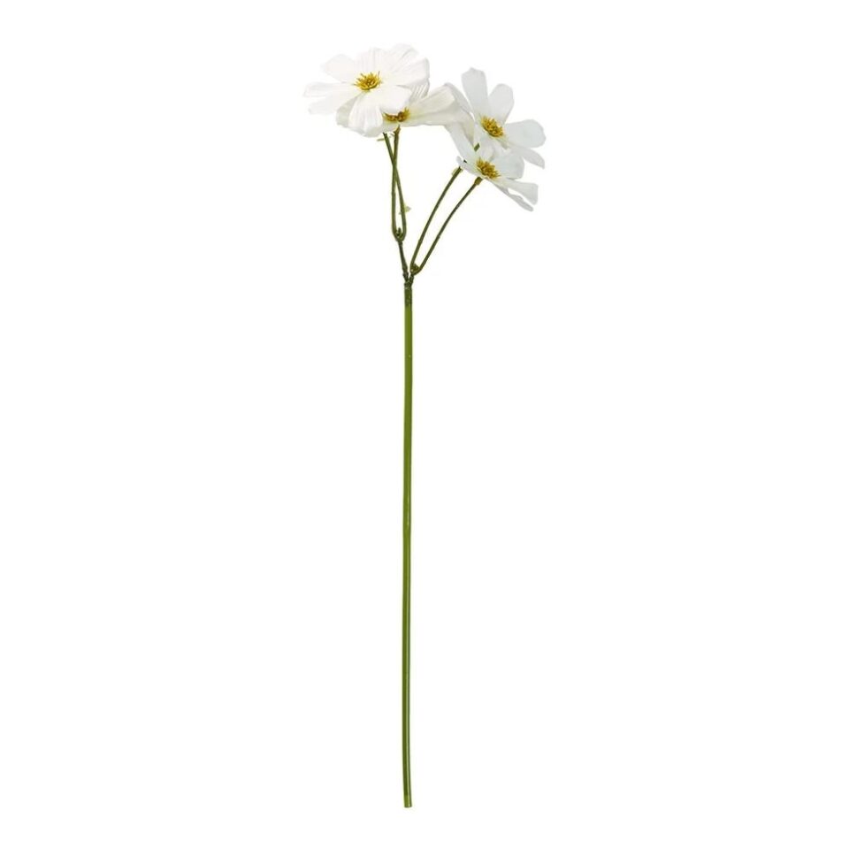 Speedtsberg cosmos grein 45cm hvít