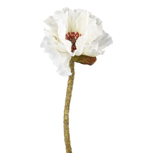 Gasper Poppy skrautblóm hvítt 52cm