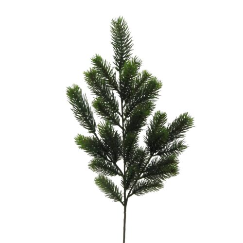 Gasper Fir grenigrein 67cm