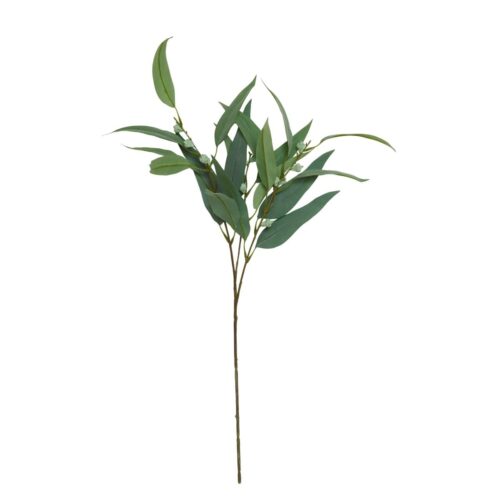 Speedtsberg Eucalyptus grein 70cm