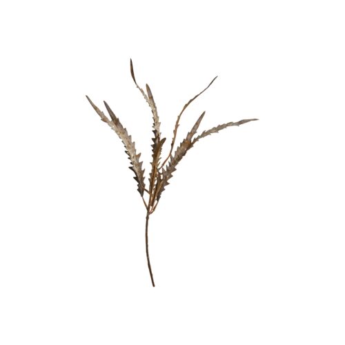 Speedtsberg Ferm grein 47cm