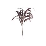 Speedtsberg Eucalyptus grein rauð 85cm