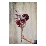 Speedtsberg Chrysanthemum grein 60cm - Image 2