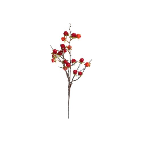 Speedtsberg rifsberjagrein rauð 56cm