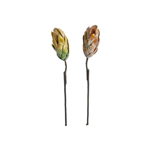 Speedtsberg Protea grein 2 gerðir 45cm