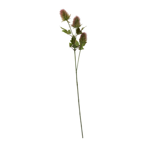 Speedtsberg Thisle grein 73cm