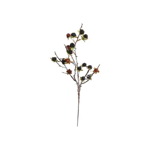 Speedtsberg rifsberjagrein rauð/svört 56cm