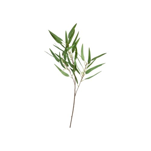 Speedtsberg Eucalyptus grein 89cm
