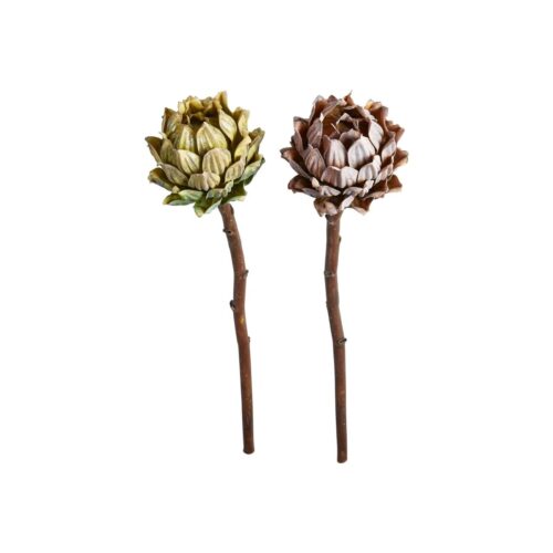 Speedtsberg Protea grein 2 gerðir 50cm