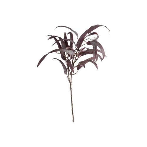 Speedtsberg Eucalyptus grein rauð 85cm