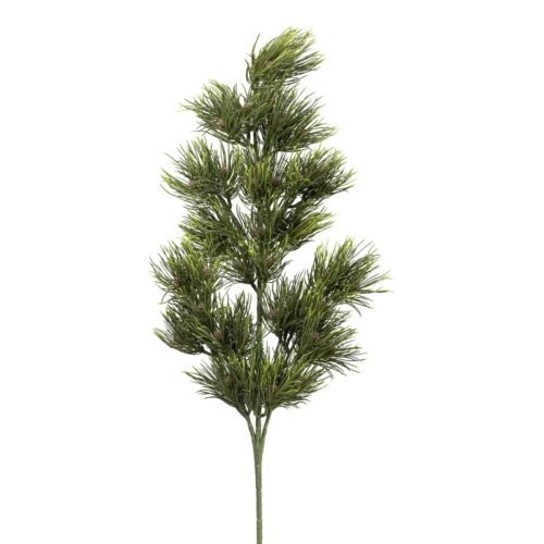 Gasper grenigrein 84cm