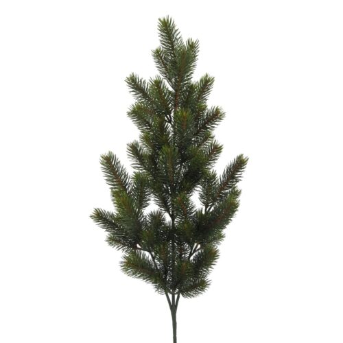 Gasper Fir grenigrein 87cm