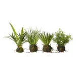 Speedtsberg planta 4 gerðir 20cm