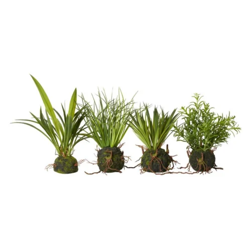 Speedtsberg planta 4 gerðir 20cm